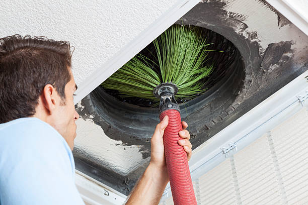 Air Duct Mold Removal in Union Grove, WI